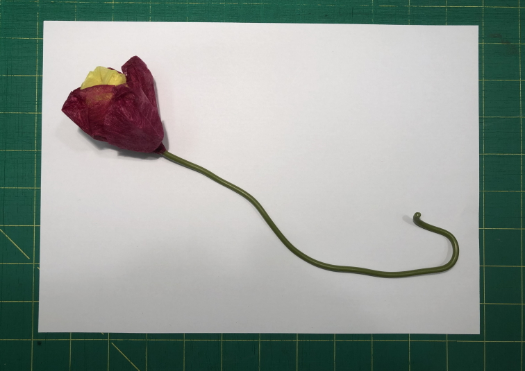 A single completed tulip, consisting of inner yellow and outer red petals, attached to a stem of green plastic coated garden wire, resting on a sheet of white A4 paper.